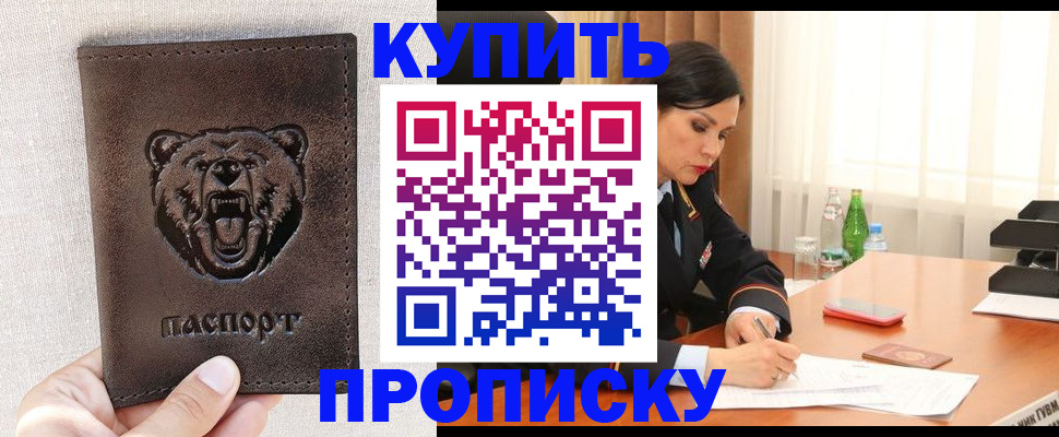 где прописаться в Сольцах